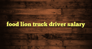 food lion truck driver salary