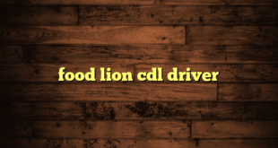 food lion cdl driver
