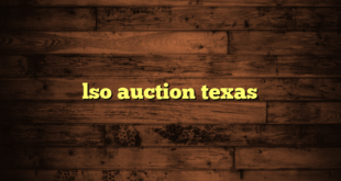 lso auction texas