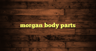 morgan body parts