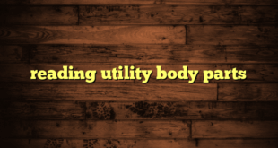 reading utility body parts