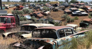 heavy duty junk yard near me