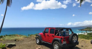 maui jeep rental reviews