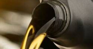 speedco oil change cost